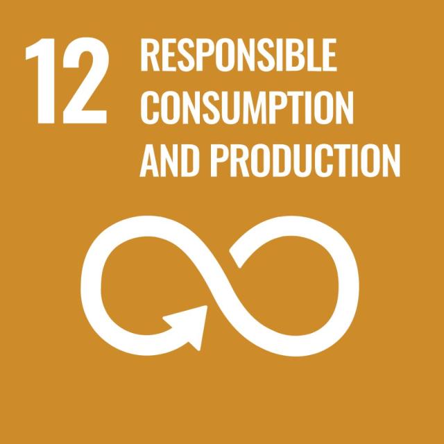 UN sustainable development goal 12
