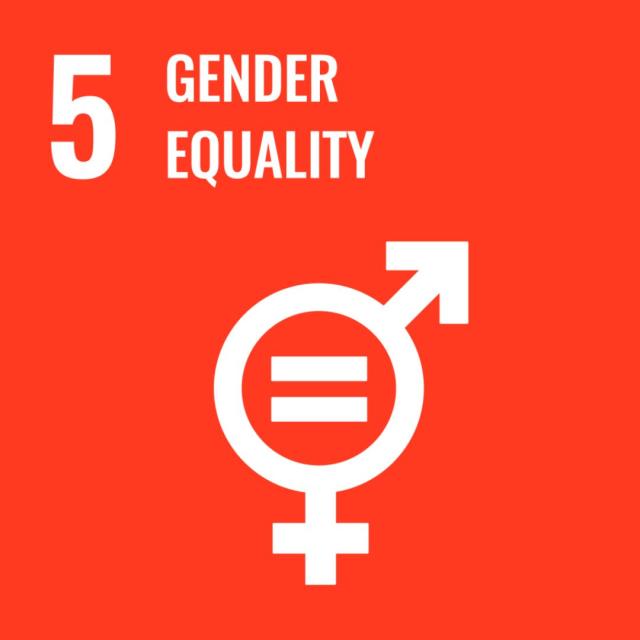 UN sustainable development goal 5