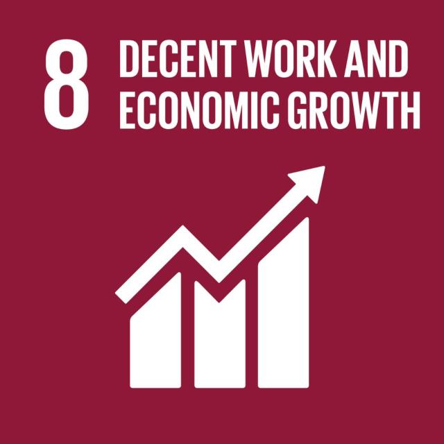 UN sustainable development goal 8